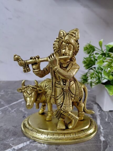 Anthurium – King of hearts